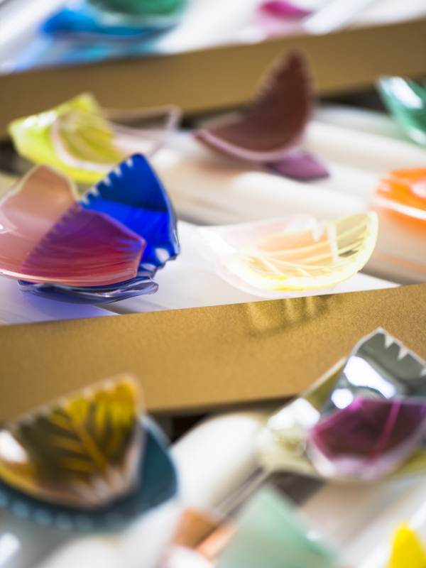 Photograph by Shannon Tofts