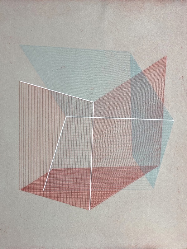 bronwen sleigh artist edinburgh printmaking sculpture custom lane talks at the lane form follows exhibition architecture urban spaces etching